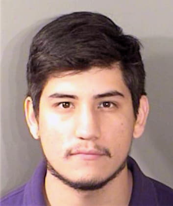 Aguilar Misael - Denton County, TX 