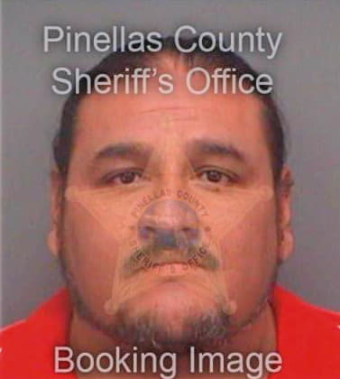 Pecinamares Alfredo - Pinellas County, FL 