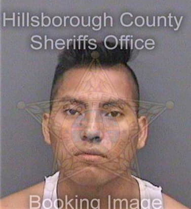 Perezlopez Mauro - Hillsborough County, FL 