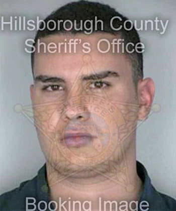 Tomaselio Scotty - Hillsborough County, FL 