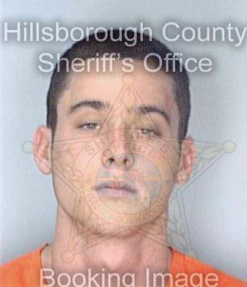 Reynolds Chad - Hillsborough County, FL 