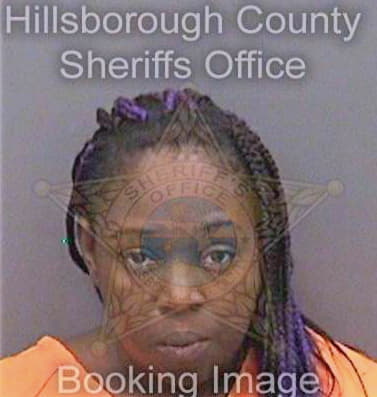 Hudson Tameka - Hillsborough County, FL 