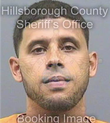 Fernandez Carmelo - Hillsborough County, FL 