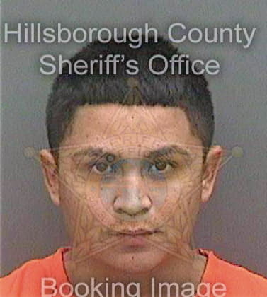 Gomezarzola Erik - Hillsborough County, FL 