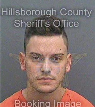 Gavric Andrej - Hillsborough County, FL 