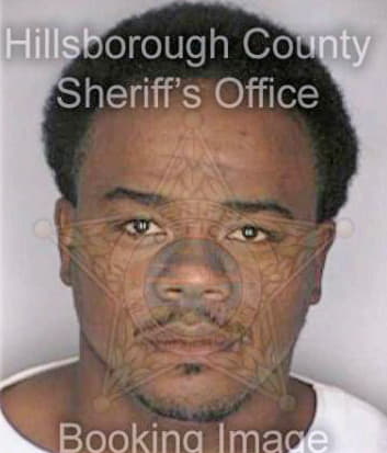 Simmons Robert - Hillsborough County, FL 