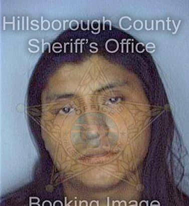 Mendez Domingo - Hillsborough County, FL 