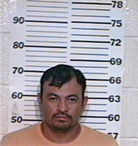 Hernandez Daniel - Hidalgo County, TX 