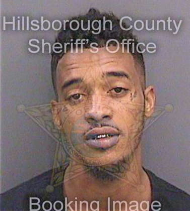 Sallins James - Hillsborough County, FL 