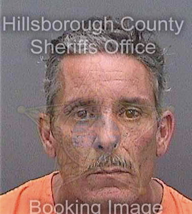 Llanes Luis - Hillsborough County, FL 