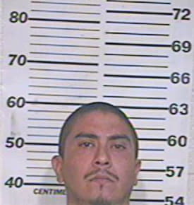 Trevino Jorge - Hidalgo County, TX 