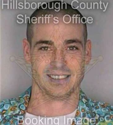Mcnulty Michael - Hillsborough County, FL 