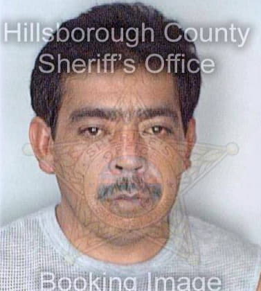 Martinezduran Fidel - Hillsborough County, FL 