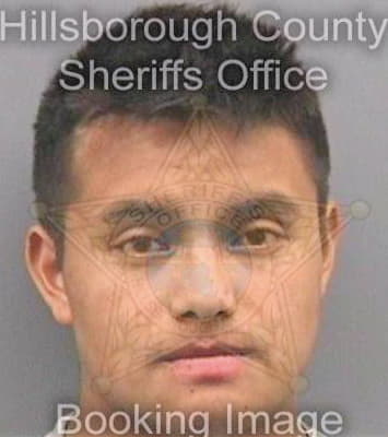 Diazdiaz Andres - Hillsborough County, FL 