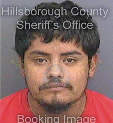 Nolasco Juan - Hillsborough County, FL 