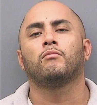 Gonzales Manuel - Hillsborough County, FL 