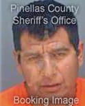 Hernandez Roberto - Pinellas County, FL 