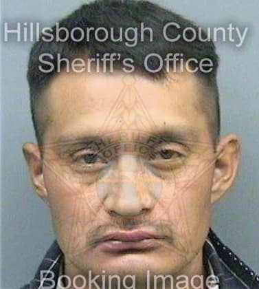 Lopez Domingo - Hillsborough County, FL 