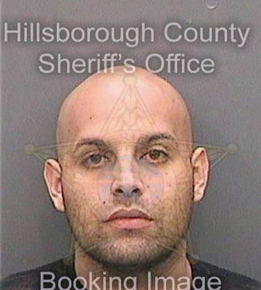 Brissolese Fernando - Hillsborough County, FL 