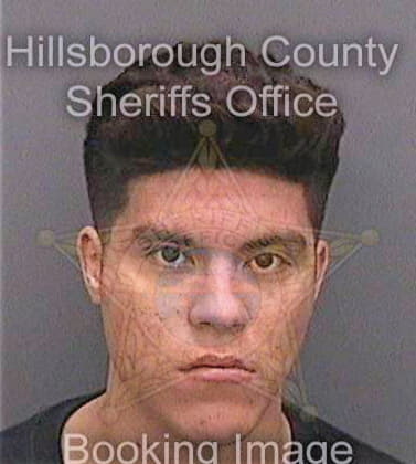 Benitez Heriberto - Hillsborough County, FL 