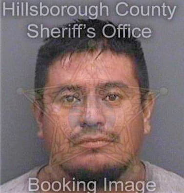 Hernandezramirez Carlos - Hillsborough County, FL 