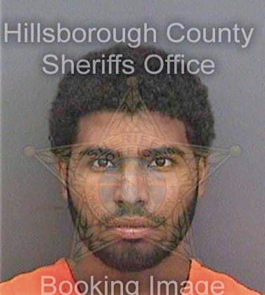 Mejia Olivert - Hillsborough County, FL 