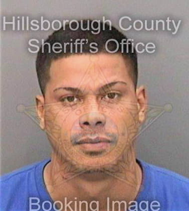 Vigo Alberto - Hillsborough County, FL 