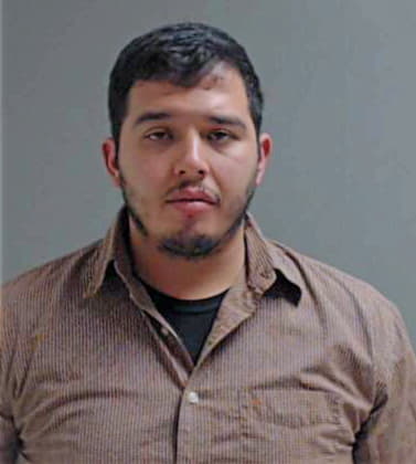 Hernandez Ricky - Hidalgo County, TX 