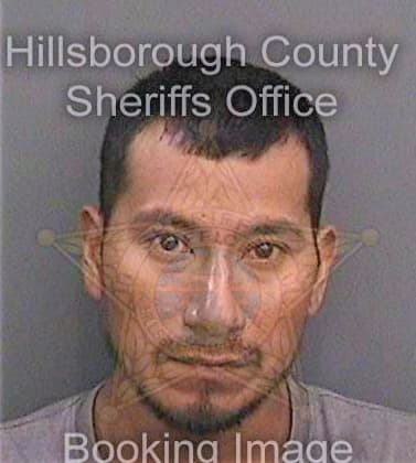 Gallegomarcos Juan - Hillsborough County, FL 