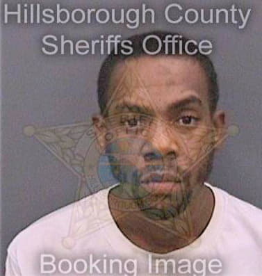 Johnson Maurice - Hillsborough County, FL 