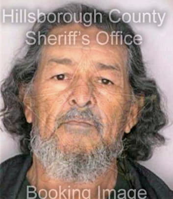 Mendez Rafiel - Hillsborough County, FL 