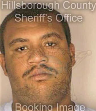 Mcdaniel Michael - Hillsborough County, FL 