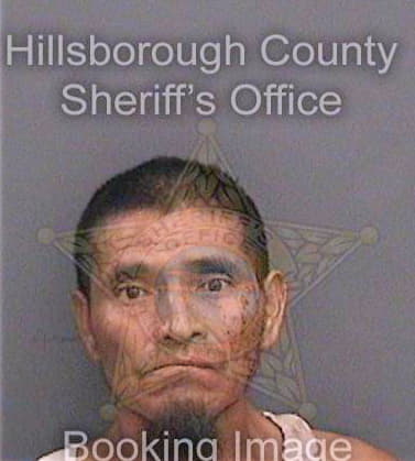 Diaz-Gomez Pedro - Hillsborough County, FL 