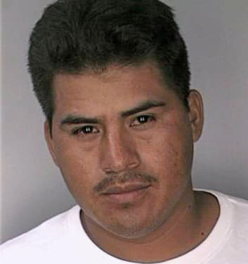 Mezaclemente Jaime - Hillsborough County, FL 