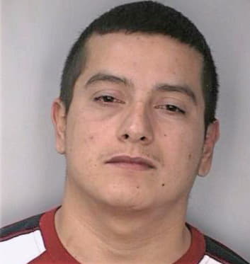 Balderas Enrique - Hillsborough County, FL 