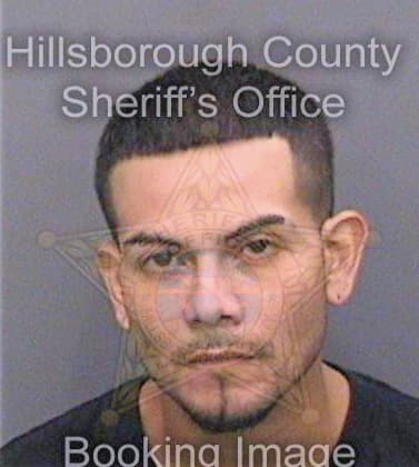 Ledesma Fernando - Hillsborough County, FL 