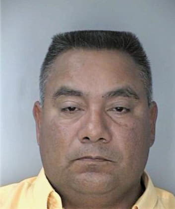 Solano Pete - Hillsborough County, FL 