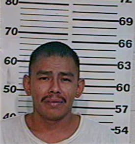 Hernandez Emilio - Hidalgo County, TX 