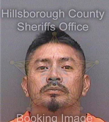 Castizodiaz Josafat - Hillsborough County, FL 