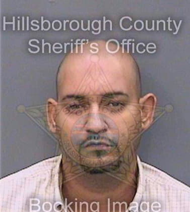 Velezvazquez Ismael - Hillsborough County, FL 