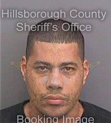 Vega Manuel - Hillsborough County, FL 