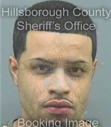 Ramos Wilfredo - Hillsborough County, FL 