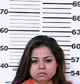 Torres Denise - Hidalgo County, TX 