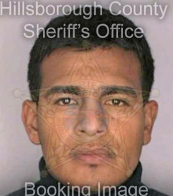 Menesesrosales Emilio - Hillsborough County, FL 