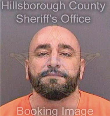 Hammad Alaa - Hillsborough County, FL 