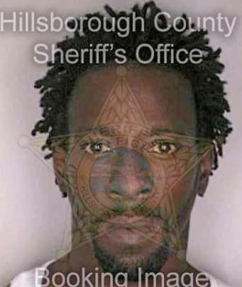 Bogan Anthony - Hillsborough County, FL 