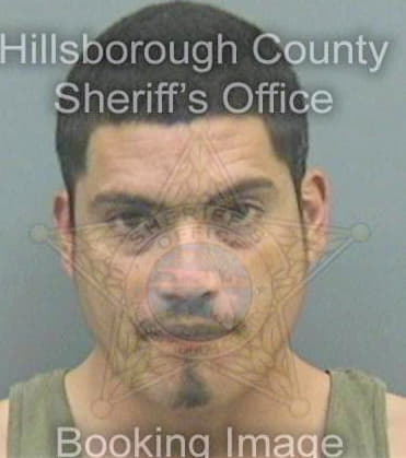 Reyesrivera John - Hillsborough County, FL 