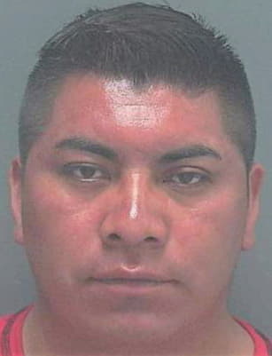 Hernandez Andres - Lee County, FL 