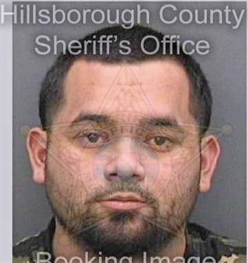 Coronagonzalez Henry - Hillsborough County, FL 