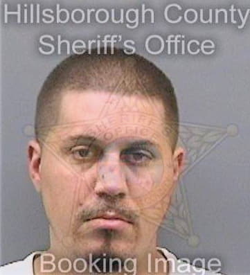 Mccarthy Sean - Hillsborough County, FL 